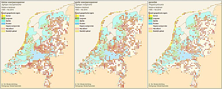 Verspreiding voorjaarsspanners: v.l.n.r. kleine en grote voorjaarsspanner en perentak