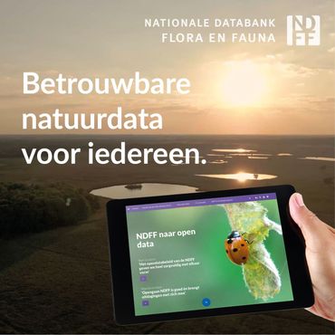 Lees meer over de vernieuwing van de NDFF in het online magazine