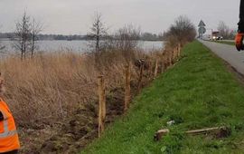 Floris Jansen N201
