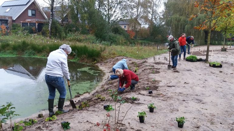 Bewoners planten struiken bij vijver