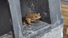 Pad die uit de put geklommen is