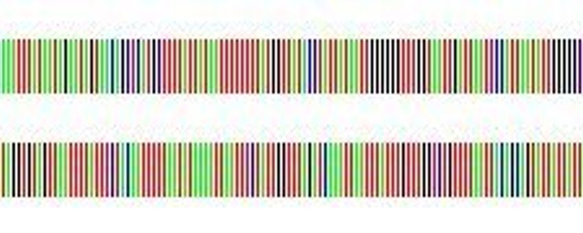 Een DNA barcode weergegeven als streepjescode