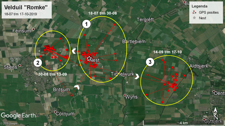 Bewegingen van 'Romke' tussen juli en oktober 2019 in Friesland tussen Stiens en Oentsjerk