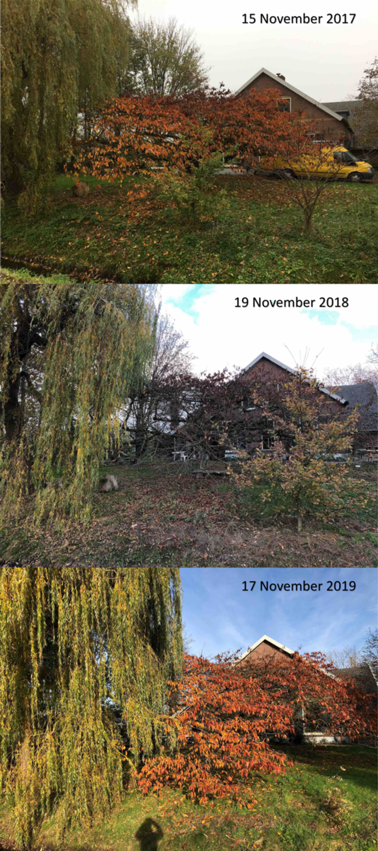 Sierkers in Bennekom op 15 november 2017, 19 november 2018 en 17 november 2019