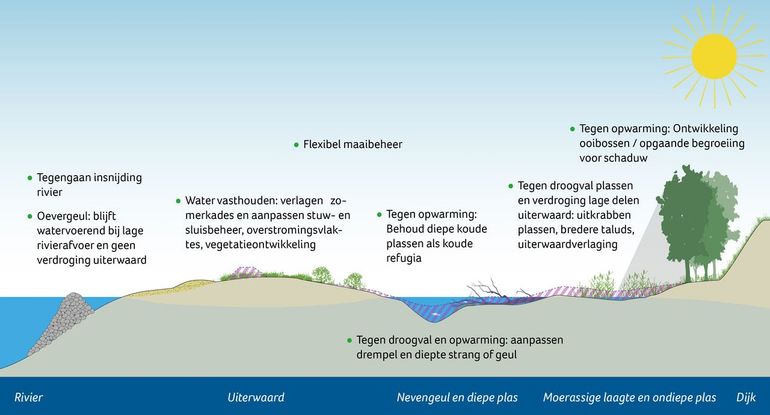 Maatregelen tegen de effecten van klimaatverandering op riviernatuur