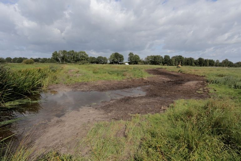 Afbeelding 1. Met een kraantje aangelegde laagte in de Rijskampen in 2017 