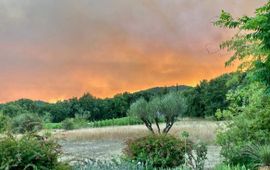 Foto: © Béatrice Senequier In augustus 2021 vernietigden bosbranden duizenden hectares bosgebied in Provence-Alpes-Côte d'Azur in Frankrijk.