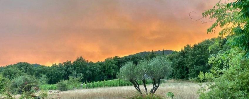 In augustus 2021 vernietigden bosbranden duizenden hectares bosgebied in Provence-Alpes-Côte d'Azur in Frankrijk.