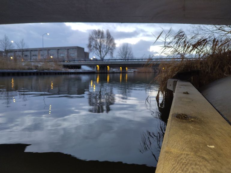 Lelystad is rijk aan water. Onder bruggen is in de winter vaak een spraint van otter te vinden
