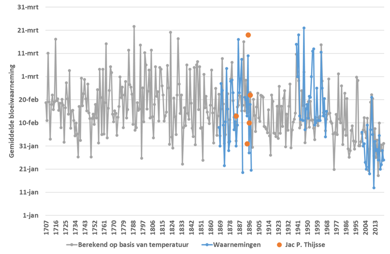 Figuur 4: Berekende en waargenomen gemiddelde eerste bloeidatum van het sneeuwklokje in de periode 1707 tot en met 2021. De oranje bolletjes zijn de waarnemingen van bloeiend sneeuwklokje in de dagboeken van Jac. P. Thijsse