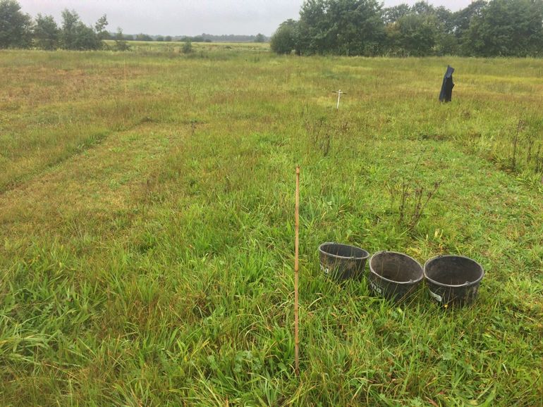 Proefveldjes langs het Oostervoortsche Diep