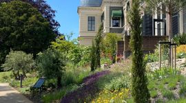Mediterrane tuin van Hortus botanicus Leiden
