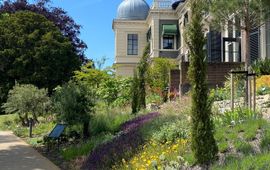 Mediterrane tuin van Hortus botanicus Leiden
