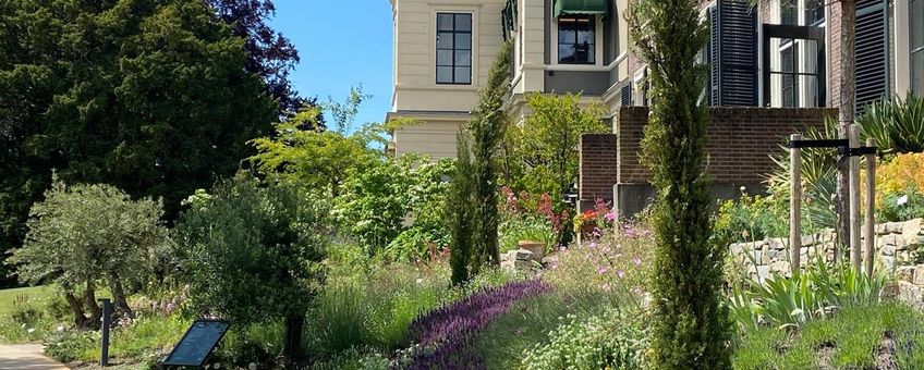 Mediterrane tuin van Hortus botanicus Leiden