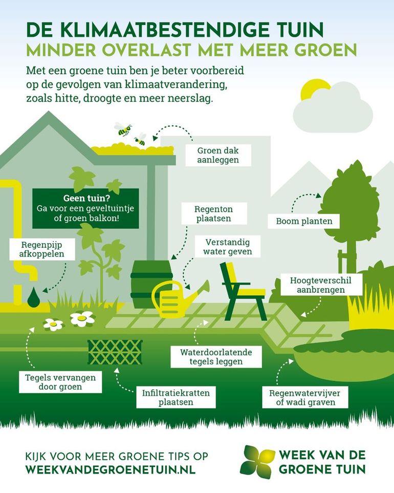 De klimaatbestendige tuin: minder overlast met meer groen