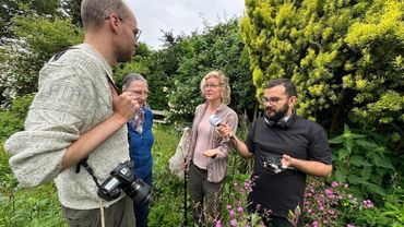 Soorten zoeken in de tuin