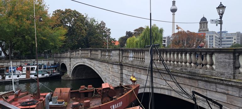 Onderdeel van het stedelijk bomenbestand, Fischerinsel Berlijn