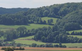 Harm Kossen VOOR EENMALIG GEBRUIK Panorama Geuldal