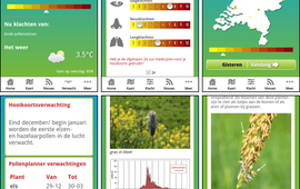 Screenshots van Allergieradar App. Boven van links naar rechts: Startscherm / Registreren klachten / Kaart met individuele klachten. Onder: Verwachting / Achtergrondinformatie planten / Achtergrondinformatie pollen