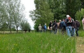 Stichting Landschapsbeheer Gelderland Ambassadeurs gezocht