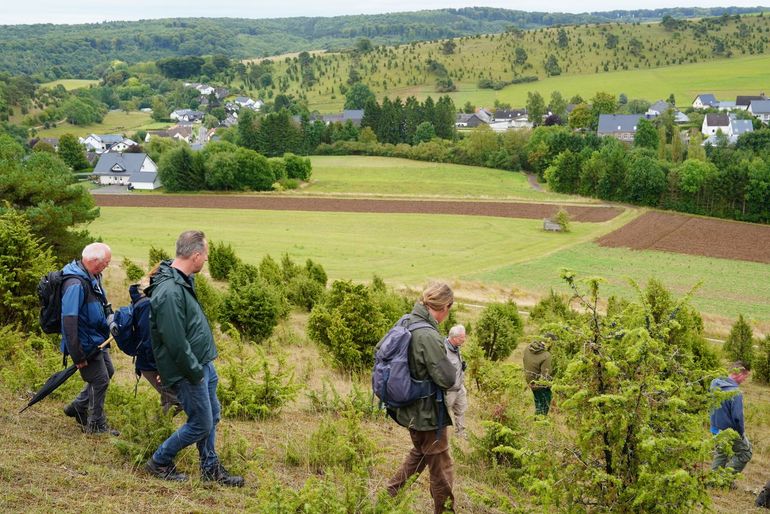Gebieden in de Eifel kunnen als referentiegebied dienen voor het natuurbeheer in Nederland