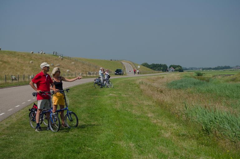 Speciaal voor deze bijzondere zomer, heeft Vogelbescherming vogelrijke fietsroutes uitgezet