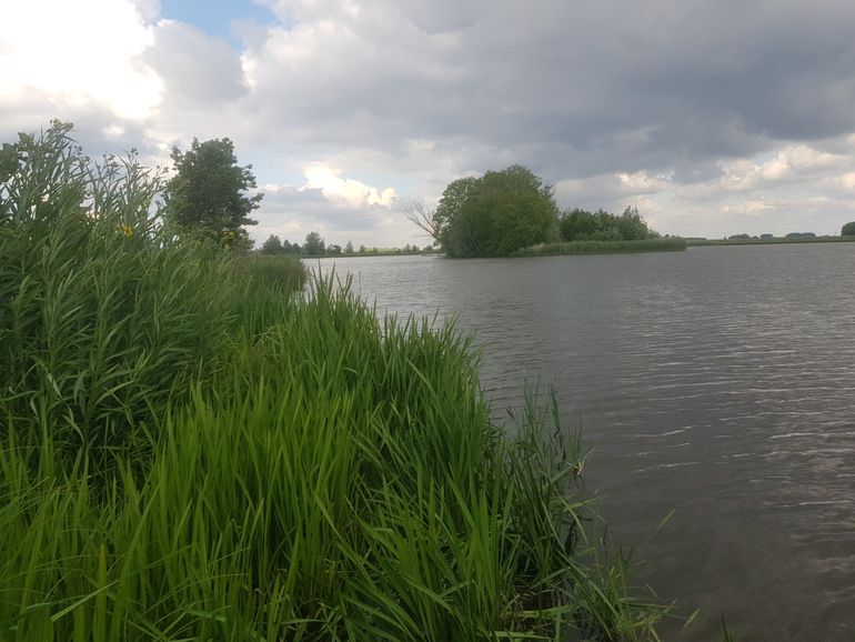 Figuur 3: Het habitat in Gat van den Ham waar de naakthalsgrondels zijn aangetroffen