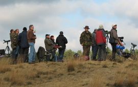 Koen Leysen trektellers