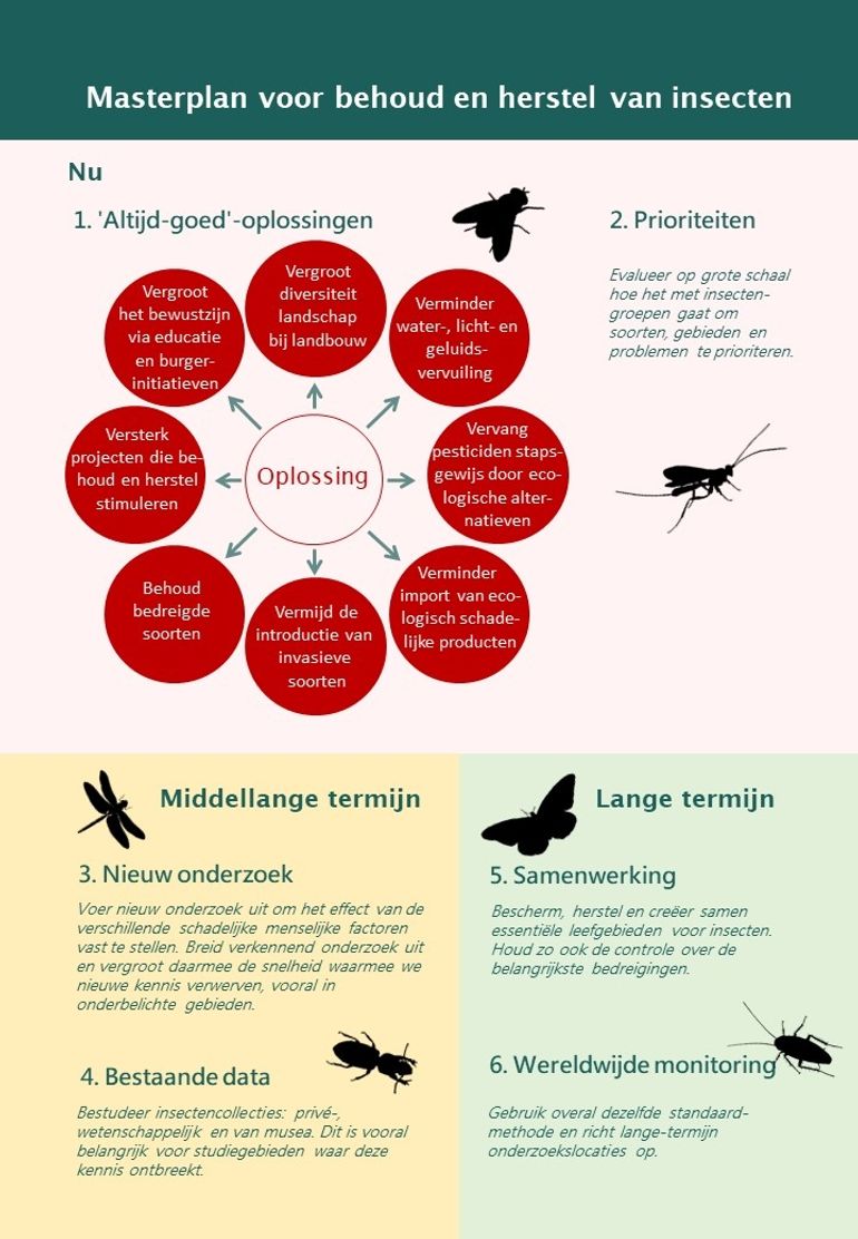 Masterplan insectenherstel