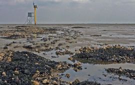 Camerapaal op de Wadden