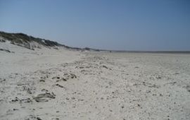 Rutger Engelbertink Strand