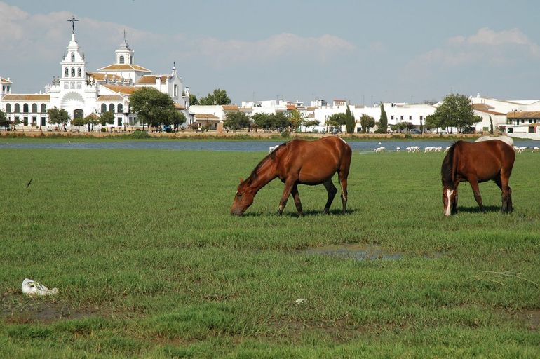 Doñana, zicht op El Rocio (Spanje)