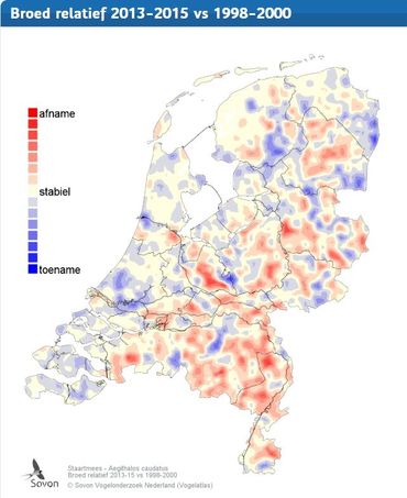 Veranderingen in het voorkomen van Staartmezen in de Vogelatlas (2013-2015) ten opzichte van 1998-2000