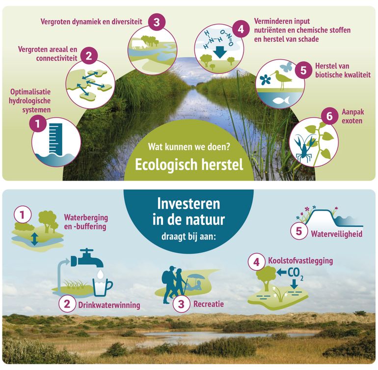 Overzicht aangrijpingspunten en ecosysteemdiensten