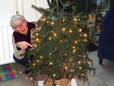 De betreffende kerstboom en de plek waar een van de rupsen zat