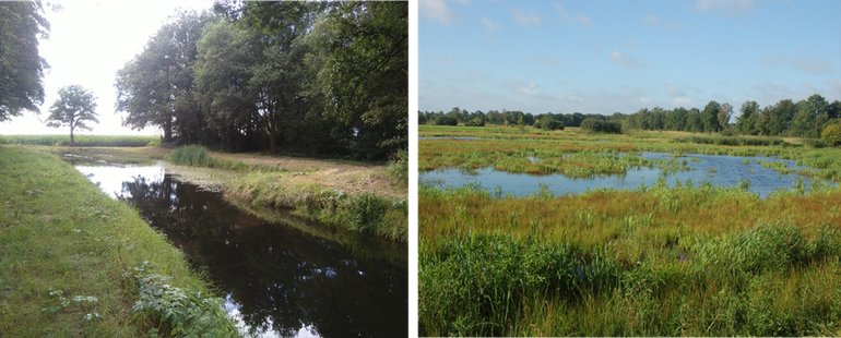 Waterretentie volgens de technocratische (links) en landschapsvolgende benadering (rechts). Het benutten van natuurlijke laagten bij het vasthouden van water dient meerdere doelen