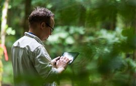 Bosgroepen Vastleggen van gegevens in het bos