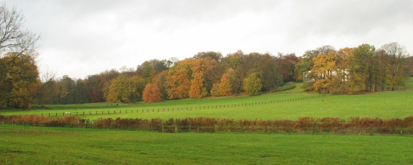 Park Sonsbeek, Arnhem