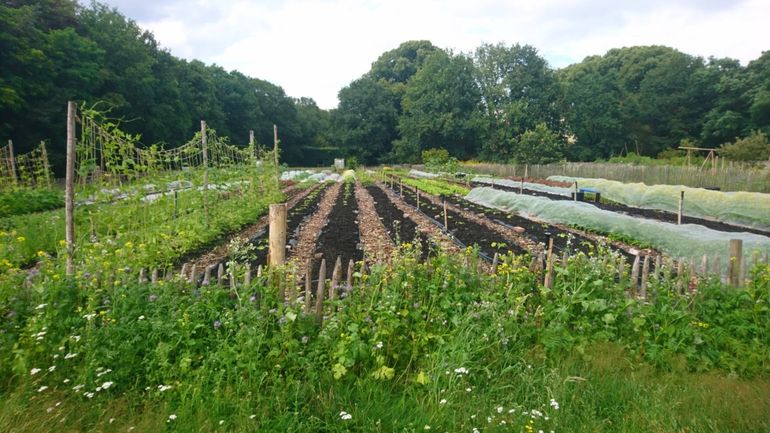 Het zou mooi zijn als we met kringlooplandbouw veel problemen tegelijk zouden kunnen oplossen