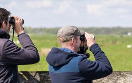 weidevogels tellen eemland