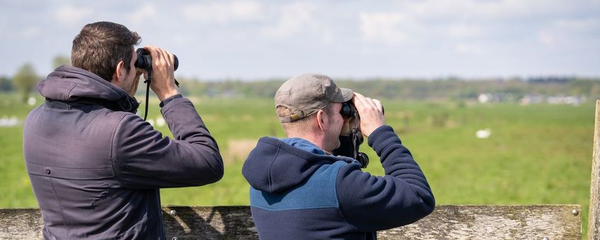 weidevogels tellen eemland