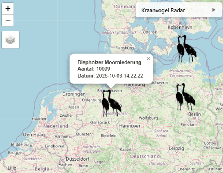 Grote aantallen rustende kraanvogels zijn eerder deze maand geteld in Noord-Duitsland &ndash; in de regio zijn er inmiddels al meer dan 12.000