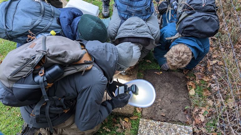 Leden van de JNM zoeken mierengasten