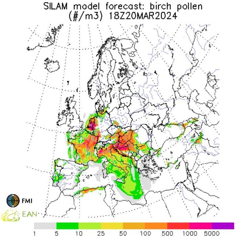 Verwachting voor berkenpollenconcentratie door het SILAM-model voor 20 maart 2024 om 18 uur