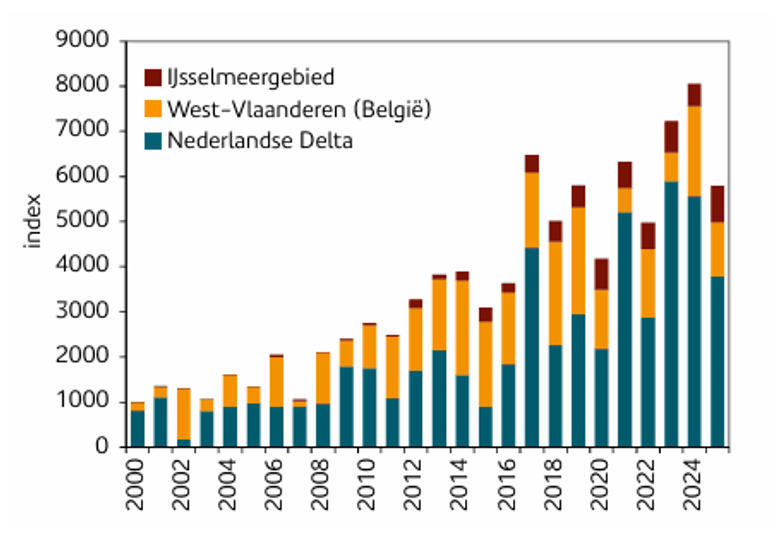 Figuur 2. Aantalsontwikkeling van zwartkopmeeuwen per broedregio. De kolonies in de Nederlandse Delta en het Belgische West-Vlaanderen, met  daarin het havengebied van Antwerpen, vormen &eacute;&eacute;n populatie. Geraadpleegde bronnen: Deltamilieu Projecten (DMP), Instituut voor Natuur- en Bosonderzoek (INBO) en Meetnet Broedvogels