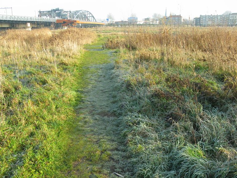 Eén van de onderzochte trajecten langs de IJssel