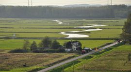 Brakke kreek Houtrakkerbeemden