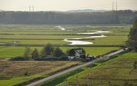 Brakke kreek Houtrakkerbeemden