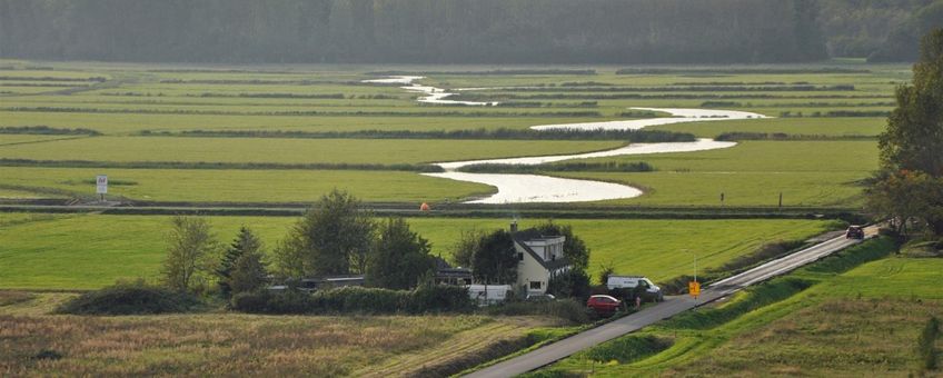 Brakke kreek Houtrakkerbeemden