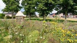 Hofje met insectenhotel